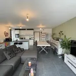 Rent 2 bedroom apartment in Wichelen