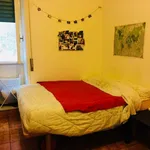 Rent 1 bedroom apartment of 30 m² in Roma