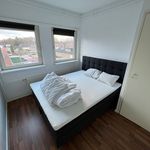 Rent 3 bedroom apartment of 80 m² in Enschede