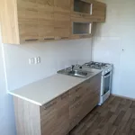 Rent 1 bedroom apartment in Ostrava