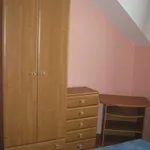 Rent 1 bedroom apartment of 45 m² in Postřelmov