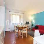 Rent 1 bedroom apartment of 45 m² in Florence