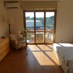 Rent 1 bedroom apartment of 35 m² in Roma