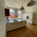 Pronajměte si 3 ložnic/e byt o rozloze 105 m² v České Budějovice