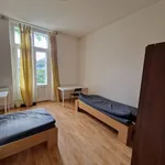 Rent 1 bedroom apartment in Brno