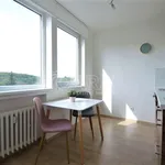 Rent 1 bedroom apartment of 32 m² in Praha