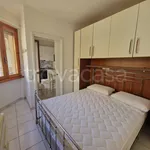 Rent 2 bedroom apartment of 40 m² in Nettuno