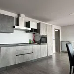 Rent 4 bedroom house of 145 m² in Turin