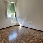 Rent 3 bedroom apartment of 77 m² in Bologna