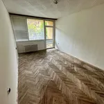 Pronájem bytu 2+1 55m²