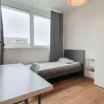 Rent a room in berlin