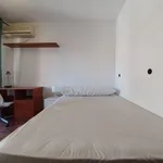 Rent 5 bedroom apartment in Granada