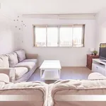 Habitación en seville