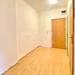 Rent 2 bedroom apartment in Ostrava