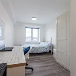 5 Bed Apartment at Albert Residencies, Curtler 7, United Kingdom