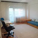 Rent 2 bedroom apartment of 50 m² in budapest