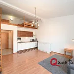 Rent 1 bedroom apartment of 31 m² in Hostivice