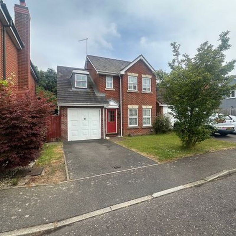 Detached house to rent in Clarks Wood Drive, Braintree CM7 Galley's Corner