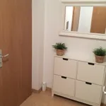 Rent 1 bedroom apartment in Praha - západ