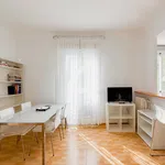 Rent 1 bedroom apartment in Madrid