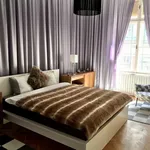 Rent 4 bedroom apartment of 190 m² in Budapest