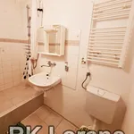 Rent 2 bedroom apartment of 44 m² in Brno