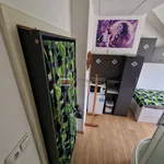 Rent 12 bedroom apartment in Prague