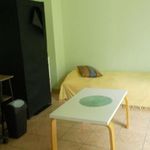 Rent 1 bedroom apartment of 17 m² in Limoges
