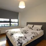 Rent 2 bedroom apartment of 80 m² in Rotterdam