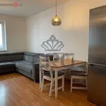 Rent 2 bedroom apartment of 53 m² in Brno-Žebětín