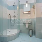 Rent 1 bedroom apartment in Prague