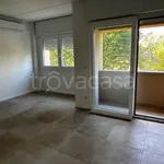 Rent 2 bedroom apartment of 53 m² in Bologna