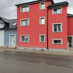 Rent 1 bedroom apartment in Nový Jičín