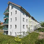 Rent 1 bedroom apartment of 35 m² in Chemnitz