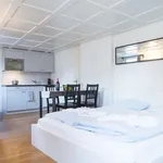 Miete 1 Schlafzimmer wohnung von 32 m² in Zug