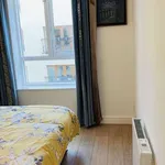 Rent 1 bedroom apartment of 45 m² in dublin