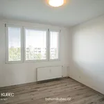 Rent 2 bedroom apartment in Sezimovo Ústí