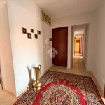 Rent 5 bedroom apartment of 145 m² in Palermo