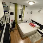 Rent 1 bedroom apartment in Madrid