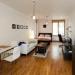 Rent 1 bedroom apartment of 38 m² in Prague