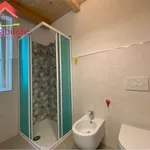 Rent 3 bedroom apartment of 55 m² in Pinerolo