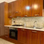 Rent 1 bedroom apartment of 70 m² in Roma