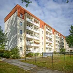 Wohnung über 58 m² in Dresden