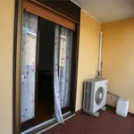 Rent 3 bedroom apartment of 94 m² in Novara