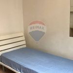 Rent 3 bedroom apartment of 65 m² in Ferrara