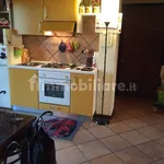 Rent 1 bedroom apartment of 50 m² in Pavia