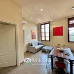 Rent 2 bedroom apartment of 55 m² in Pisa