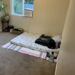 Rent 4 bedroom house in Santa Rosa