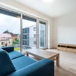 Rent 1 bedroom apartment of 57 m² in Plzeň