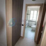 Rent 2 bedroom apartment of 50 m² in Novara